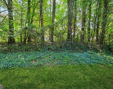 3038 Steeplechase - Photo Thumbnail 40
