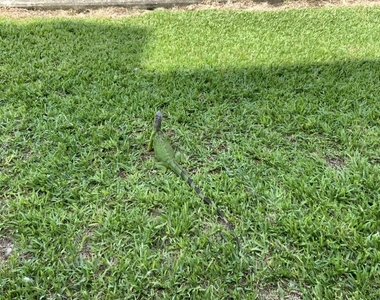 4709 Nw 7th Street - Photo Thumbnail 26