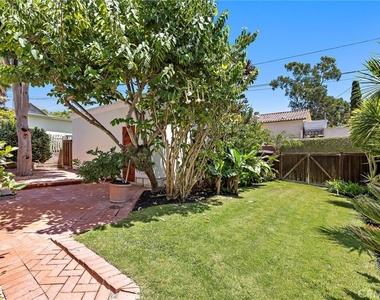 429 Aster - Photo Thumbnail 25