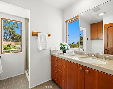 429 Aster - Photo Thumbnail 14