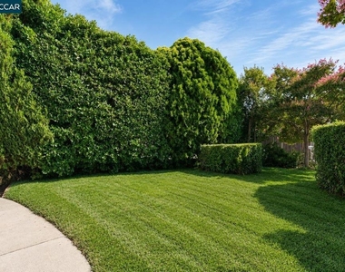 1325 New Hampshire Dr - Photo Thumbnail 6