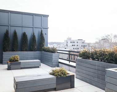 8-3 Wyckoff Ave 11385 - Photo Thumbnail 19