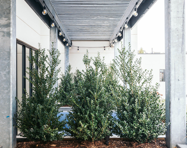 8-3 Wyckoff Ave 11385 - Photo Thumbnail 7