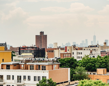 774 Bushwick Ave 11221 - Photo Thumbnail 12