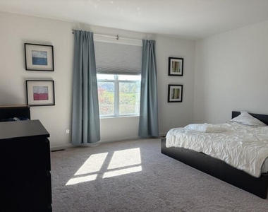 4334 Loon Lane - Photo Thumbnail 15