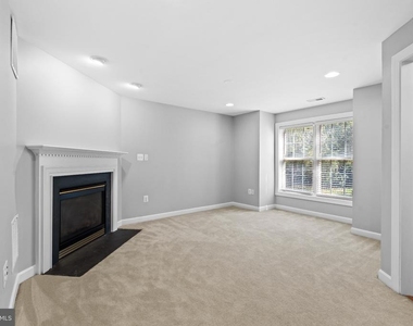 13638 Lavender Mist Lane - Photo Thumbnail 15