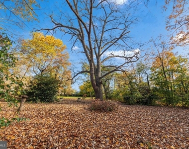 5218 Greene Street - Photo Thumbnail 13