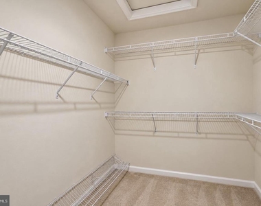4349 Viridian Terrace - Photo Thumbnail 17