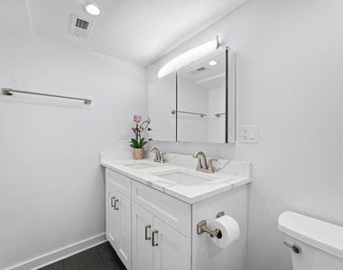 2737 W Lunt Avenue - Photo Thumbnail 9