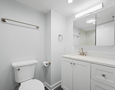 2737 W Lunt Avenue - Photo Thumbnail 15