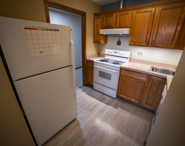 10804 S Ridgeway Avenue - Photo Thumbnail 17