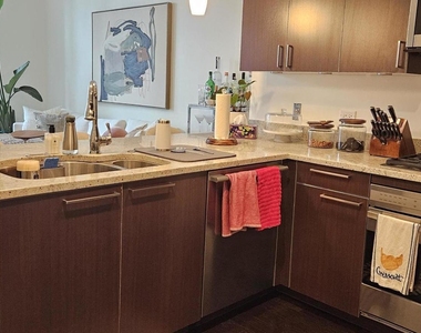 10 E Delaware Place - Photo Thumbnail 3