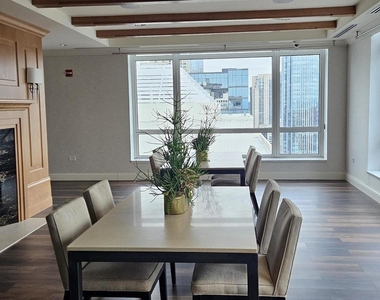 10 E Delaware Place - Photo Thumbnail 20