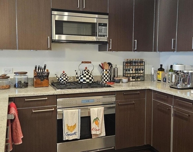 10 E Delaware Place - Photo Thumbnail 2