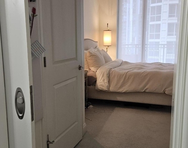 10 E Delaware Place - Photo Thumbnail 10