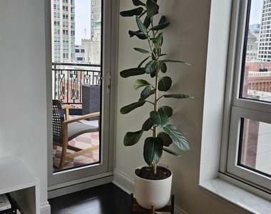 10 E Delaware Place - Photo Thumbnail 8