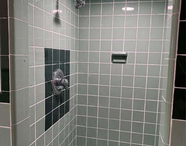 1118 Edgewood - Photo Thumbnail 28