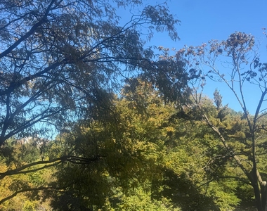 Grand Concourse / Van Cortlandt Avenue - Photo Thumbnail 17
