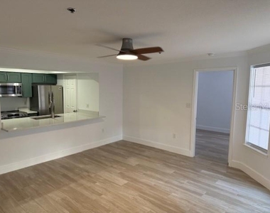 1000 W Horatio Street - Photo Thumbnail 8