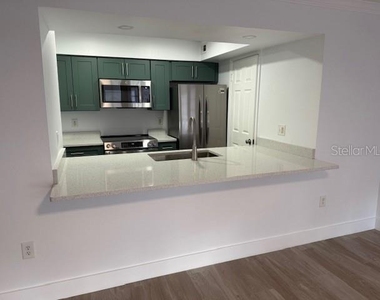 1000 W Horatio Street - Photo Thumbnail 5