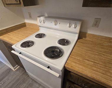 2259 W Menores Drive - Photo Thumbnail 9