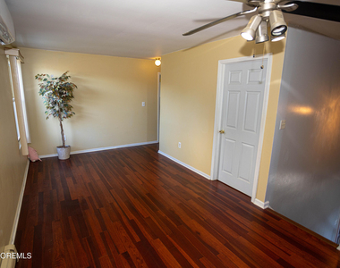 12 Jacobson Street - Photo Thumbnail 23