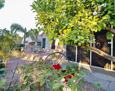 13614 N 12th Place - Photo Thumbnail 37