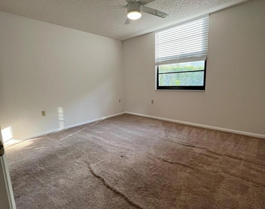 3516 Whitehall Drive - Photo Thumbnail 11