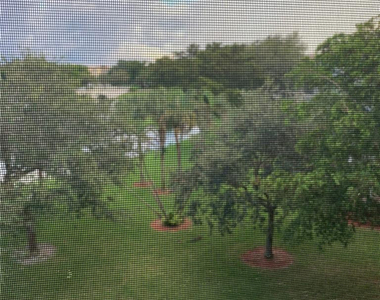 2305 Lucaya Lane - Photo Thumbnail 11