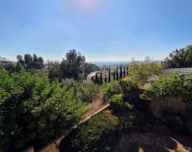 1403 Loma Road - Photo Thumbnail 31