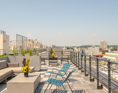 350 Clarkson Ave 11226 - Photo Thumbnail 4