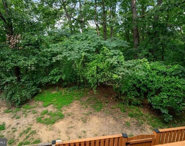 6490 Tayack Place - Photo Thumbnail 41