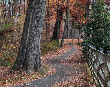 13126 Thornapple Place - Photo Thumbnail 43