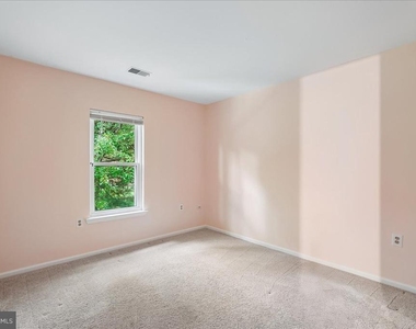 13126 Thornapple Place - Photo Thumbnail 21