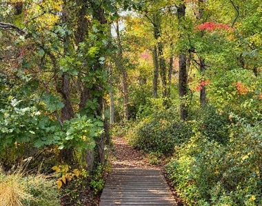 165 Heather Lane - Photo Thumbnail 20