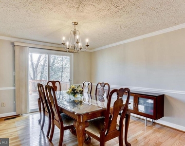 815 Curry Ford Lane - Photo Thumbnail 5