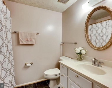 815 Curry Ford Lane - Photo Thumbnail 17