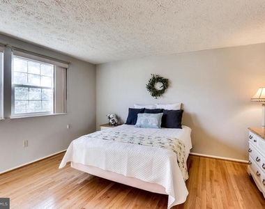 815 Curry Ford Lane - Photo Thumbnail 12
