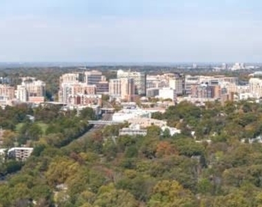 930 Wayne Avenue - Photo Thumbnail 20