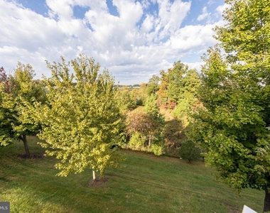 320 Marasco Court - Photo Thumbnail 14