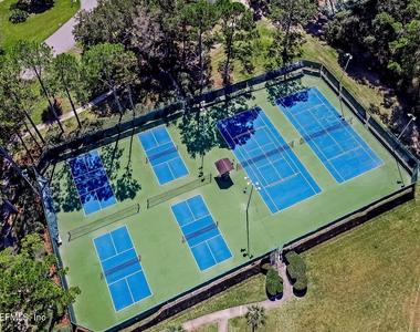 213 Pink Ibis Court - Photo Thumbnail 61
