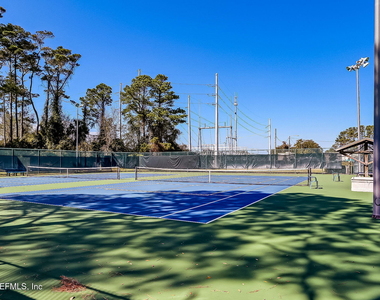 213 Pink Ibis Court - Photo Thumbnail 57