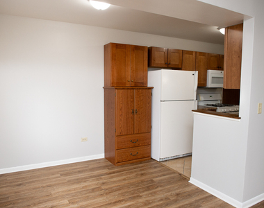 608 N Lake Shore Drive - Photo Thumbnail 6