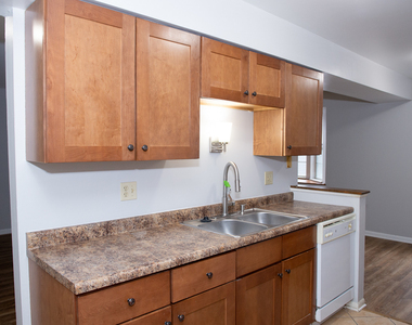 608 N Lake Shore Drive - Photo Thumbnail 7