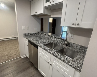 206 W Division Street - Photo Thumbnail 9
