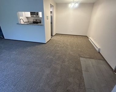 206 W Division Street - Photo Thumbnail 3