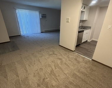 206 W Division Street - Photo Thumbnail 4