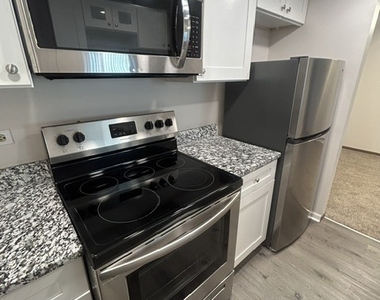 206 W Division Street - Photo Thumbnail 8