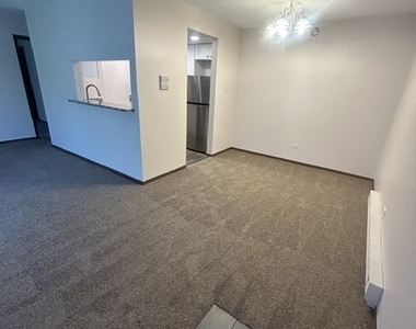 206 W Division Street - Photo Thumbnail 1