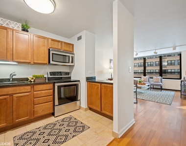 222 E Pearson Street - Photo Thumbnail 6